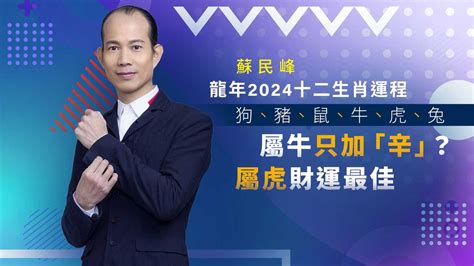 2024豬運程|蘇民峰2024十二生肖運程：屬狗、豬、鼠、牛、虎、。